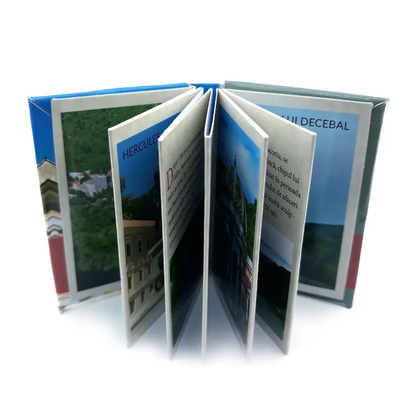Baile herculane, magnet carte
